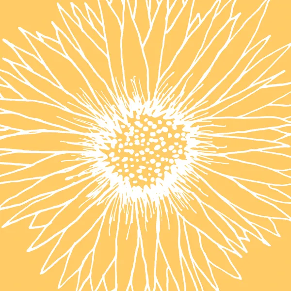 Line Art Sunflower by Kristian Gallagher