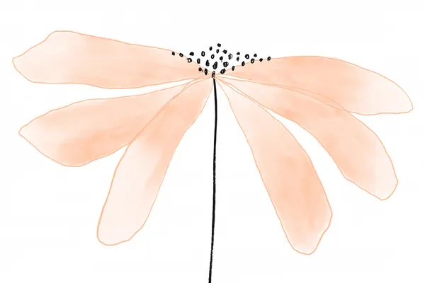 Delicate Peach Color Flower with Petals by uplusmestudio