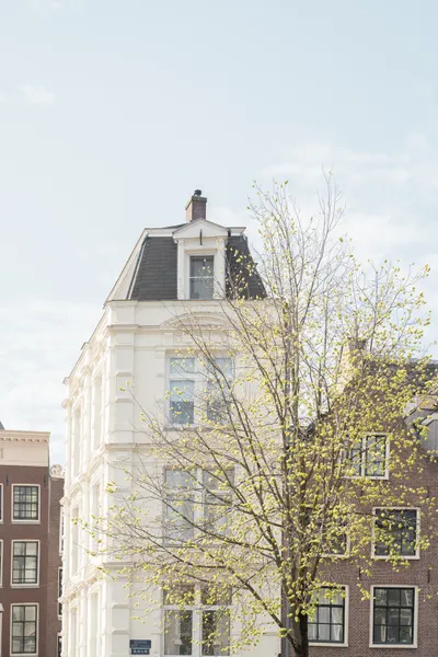 White Facade Spring Day by Henrike Schenk