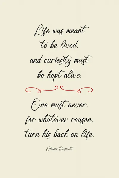 Life Curiosity Wisdom by Andreas Magnusson