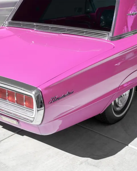 Vintage Pink 1965 Thunderbird by Tom Windeknecht