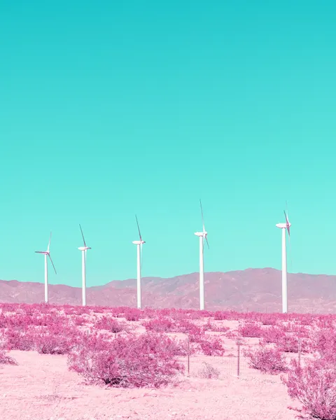 Palm Springs Windmills in the Desert by Tom Windeknecht