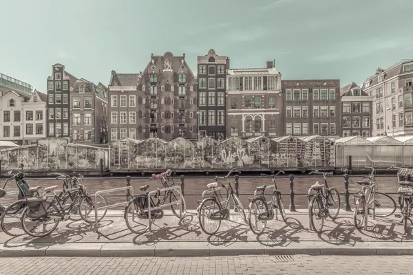 Amsterdam Canal Bicycles by Melanie Viola
