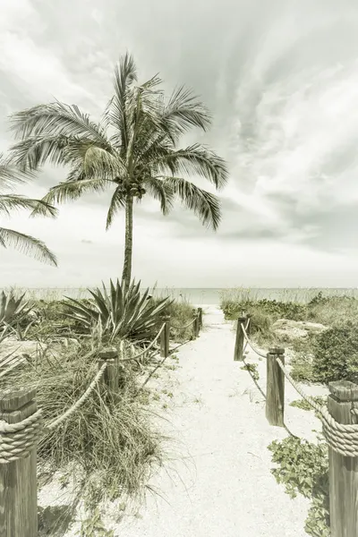 Tropical Beach Pathway by Melanie Viola