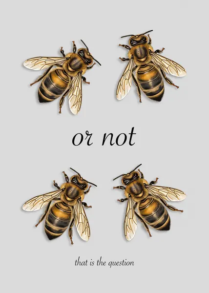 To Bee Or Not by Andreas Magnusson