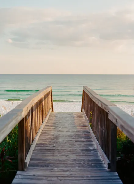 Path to the Ocean by Bethany Young