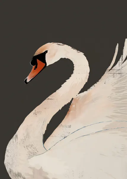 Graceful White Swan by Andreas Magnusson