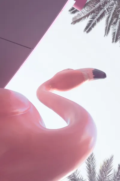 Sunny Pink Flamingo by Pictufy Studio III