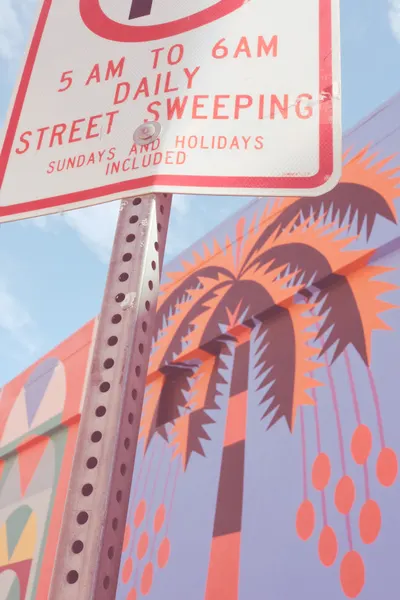 Colorful Palm Street Mural by Pictufy Studio III