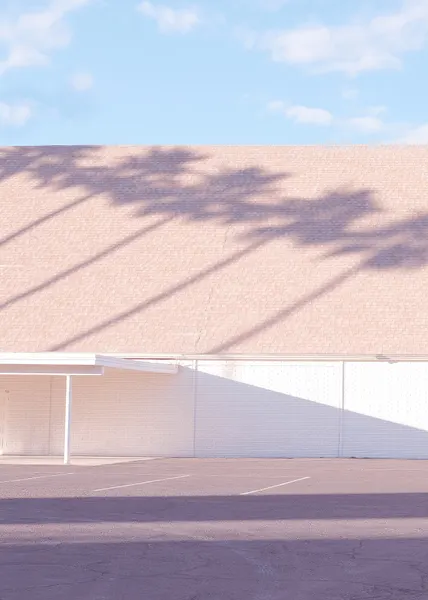 Sunny Palm Shadows by Pictufy Studio III