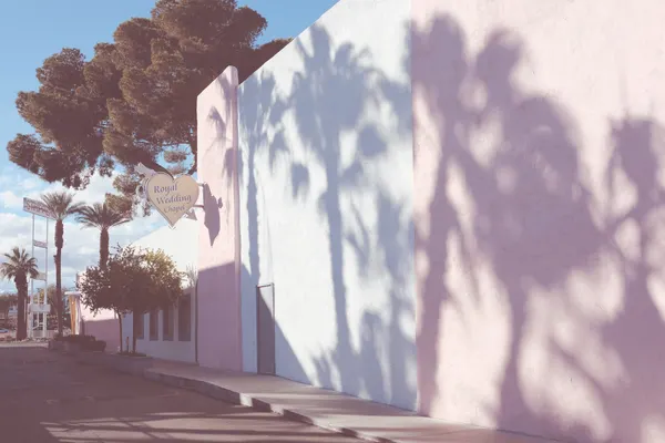 Pink Wall Palm Shadows by Pictufy Studio III