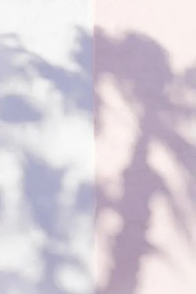 Soft Lavender Shadows by Pictufy Studio III