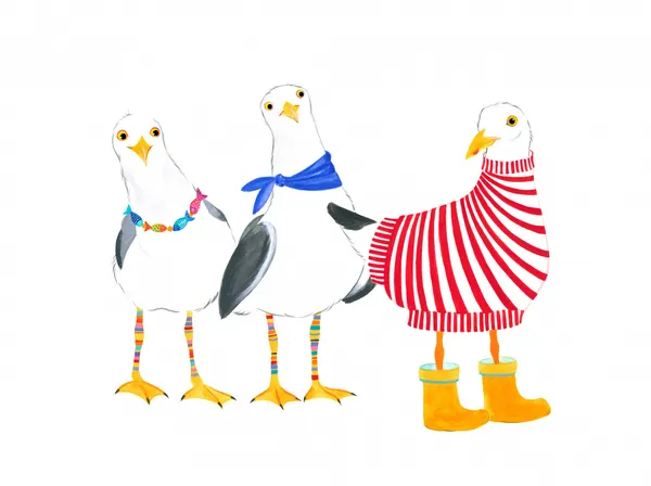 Seagull Fashion Parade by Isabelle Brent