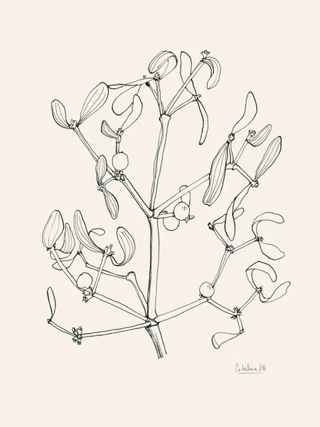 Holiday Mistletoe Line Art by Catalina Somolinos