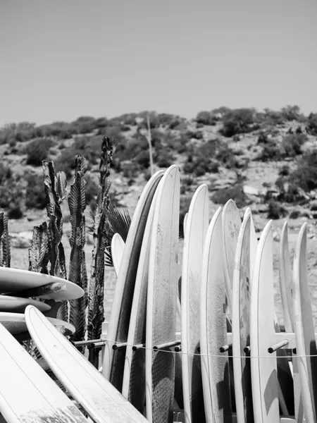 Surfboards in Black and White by Raisa Zwart