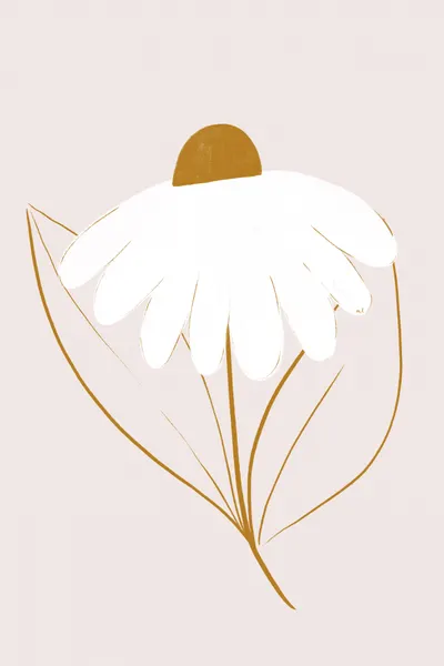 Minimalist Daisy Bloom by Menina Lisboa
