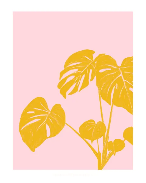 Pandc Houseplant Copy by Jenny Liz Rome