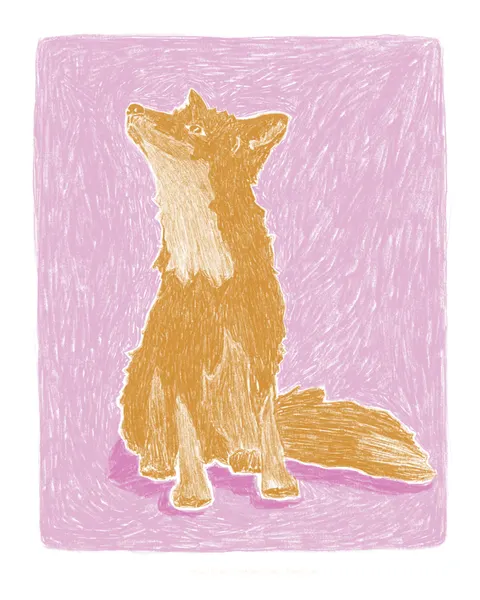 Pandc Littlefox Copy by Jenny Liz Rome
