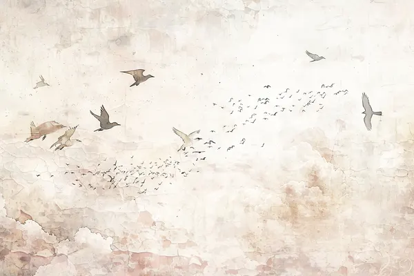 Soaring Sky Birds by Rafal Kulik