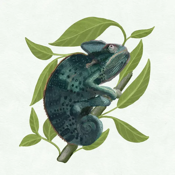 Chameleon by Katie O'Shea