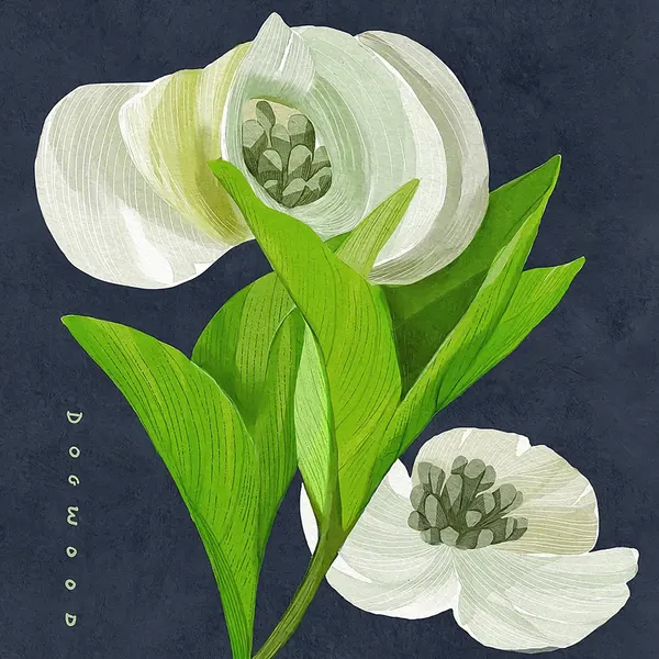 White Dogwood on Navy by Katie O'Shea