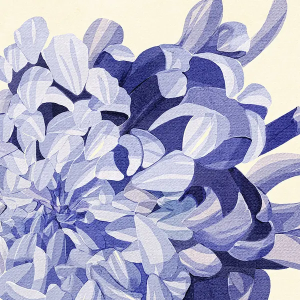 Purple Chrysanthemum by Katie O'Shea