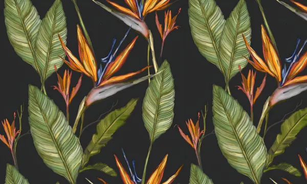 Exotic Bird of Paradise by Josie George