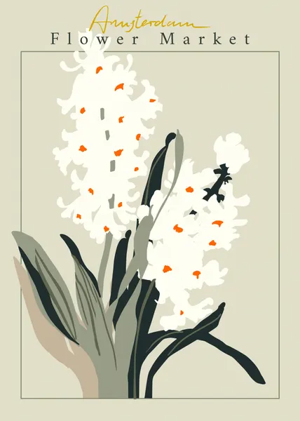 White Hyacinth Flower Market by Annick