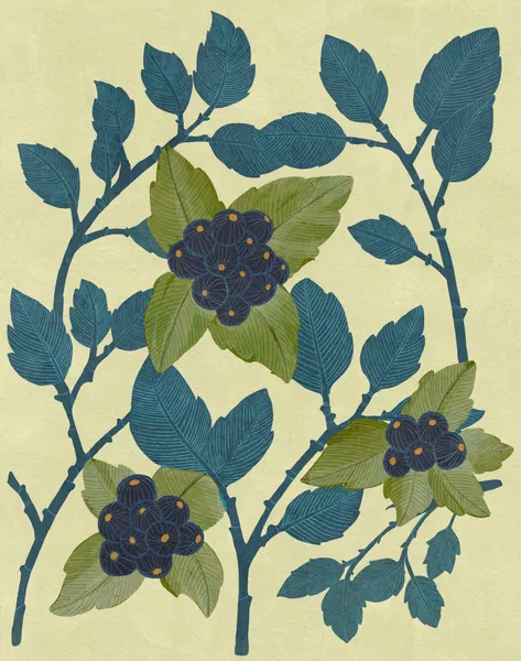 Huckleberries by Katie O'Shea