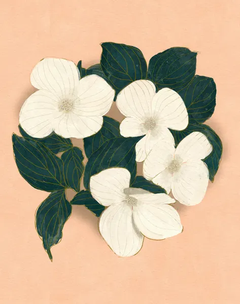 Dogwoods on Pink by Katie O'Shea