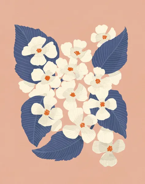White Dogwoods by Katie O'Shea