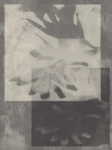 Abstract Grey Botanicals by Dina Dankers