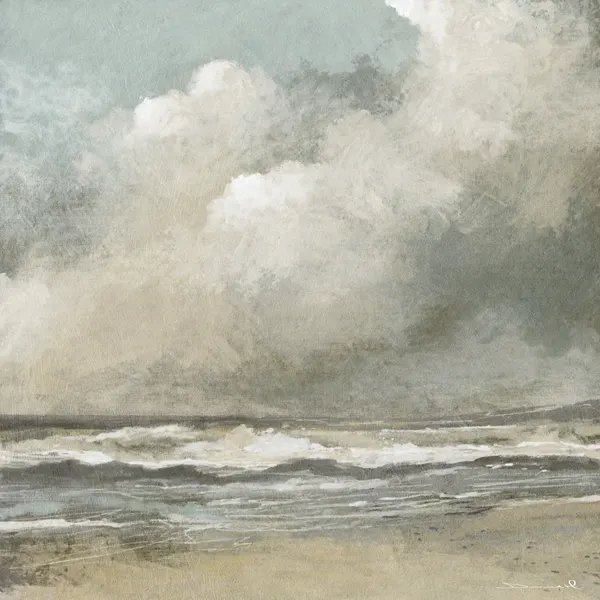 Misty Beach by Dan Hobday