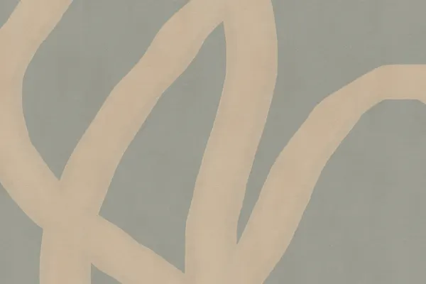 Flowing Organic Shapes by Dina Dankers