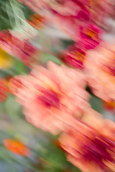 Moving Flowers 1 by Raisa Zwart