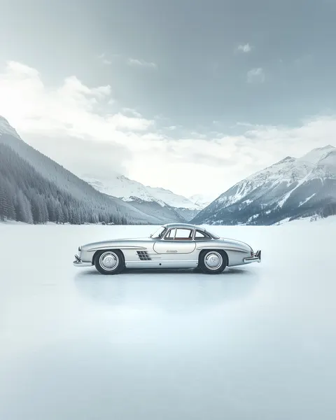 Silver Coupe Winter Landscape by Pictufy Studio IV