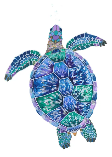 Turtle's Dreamscape by Isabelle Brent