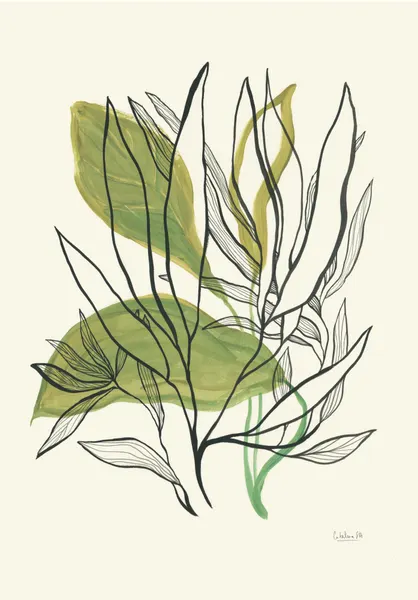 Modern Botanical Leaves by Catalina Somolinos