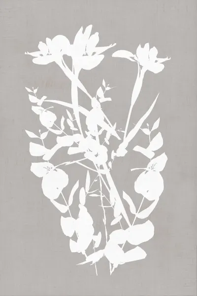 Modern Botanical Silhouettes by cartissi