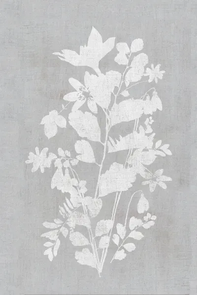 White Floral Silhouette by cartissi