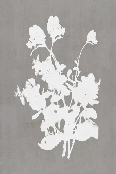 White Floral Silhouette by cartissi