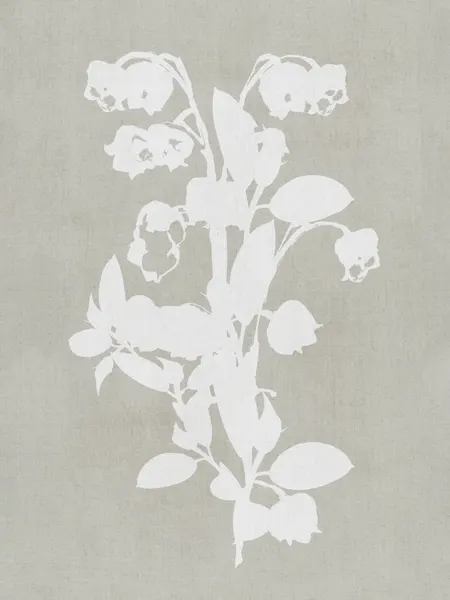 White Botanical Blooms by cartissi