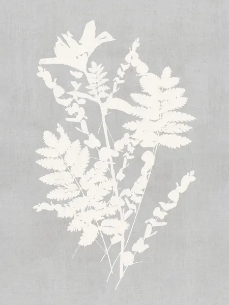 Botanical Silhouette Study by cartissi