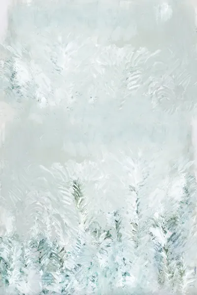 Icy Forest Serenity by casa cartissi