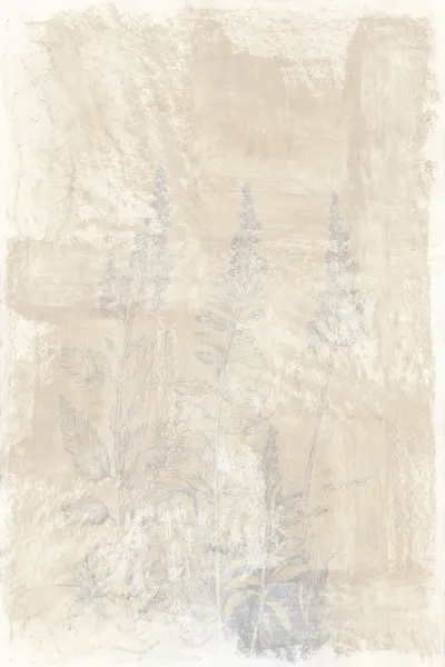 Faded Botanical Sketches by cartissi