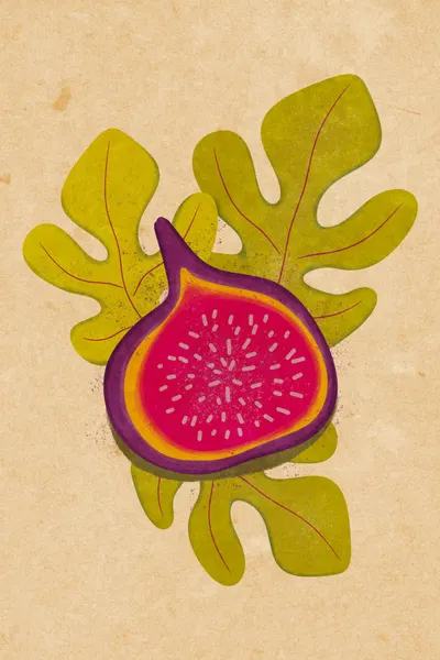 Simple fig by Raissa Oltmanns