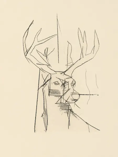 Abstract Deer Sketch by cartissi