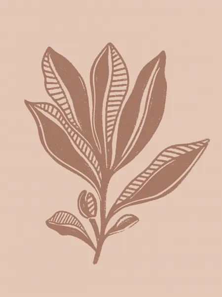 Natural Botanical Drawing by Nikita Jariwala