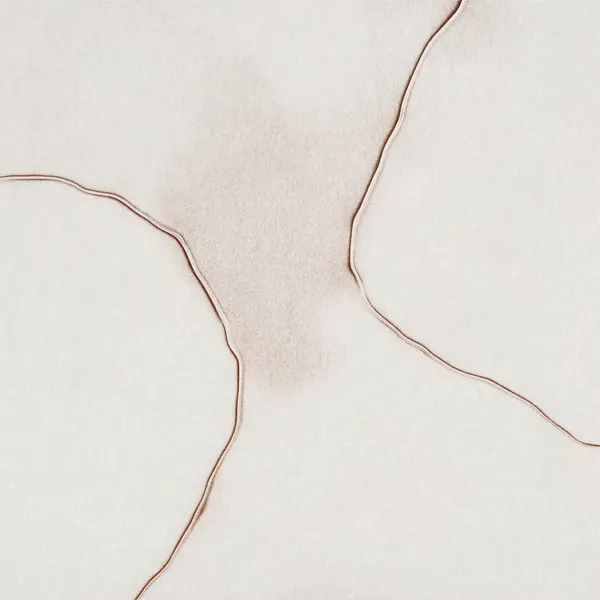 Soft Fluid Forms by Alma