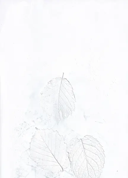 Ethereal White Leaves by Maira Ribena
